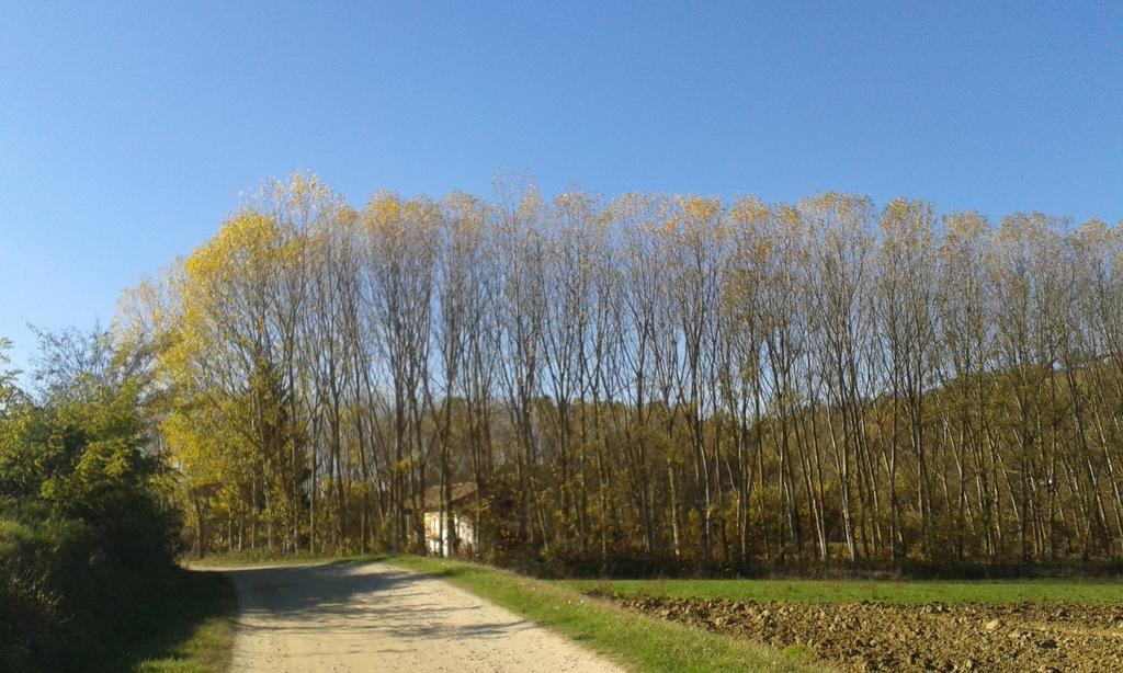 Vista Sul Patrimonio Dell'Unesco Cortiglione Экстерьер фото